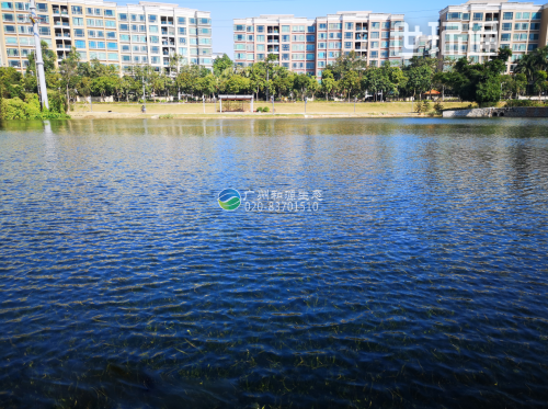 市政景观湖泊与湿地公园水体生态净化