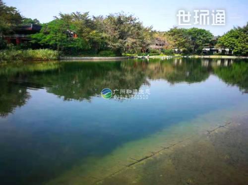 华为深圳坂田基地景观湖水生态净化工程
